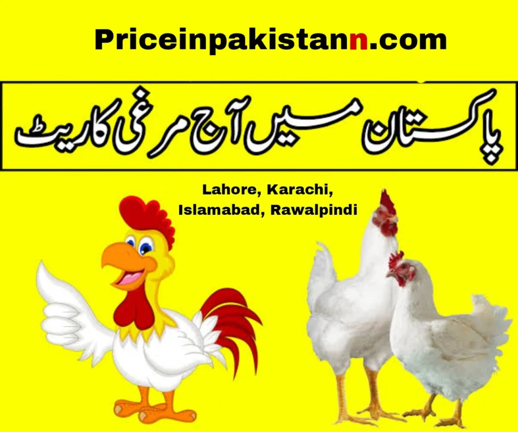 Chicken rate today in Pakistan - Latest chicken price