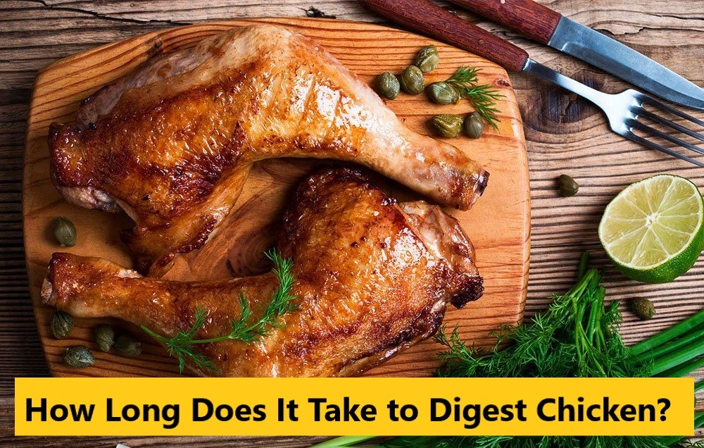 How Long Does It Take to Digest Chicken