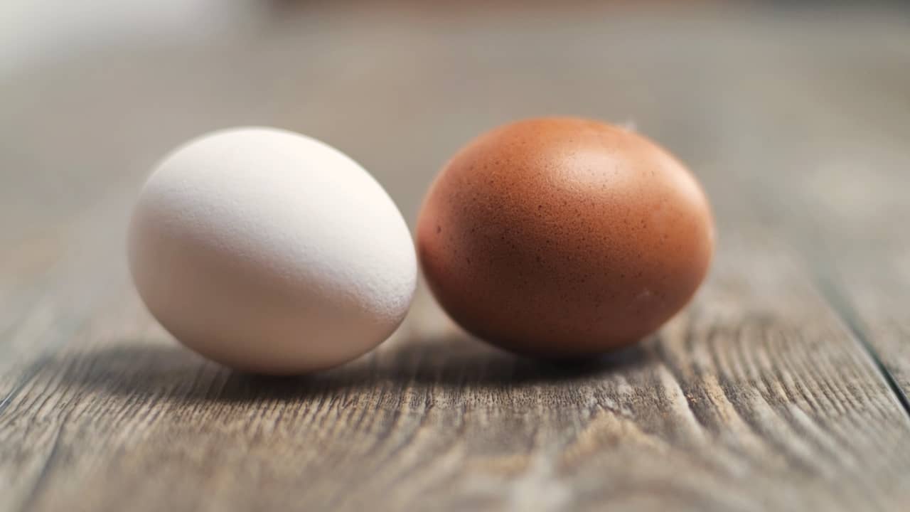 Why Desi Eggs are Expensive as Compared to Regular Eggs